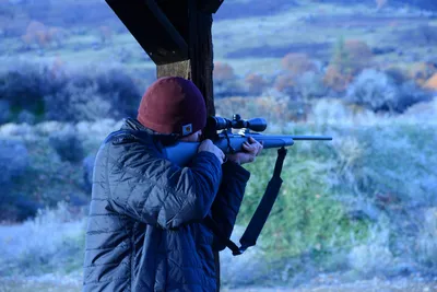 DSC_0940 (Large).JPG